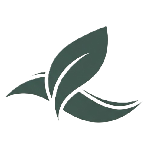 Reconnect With Health